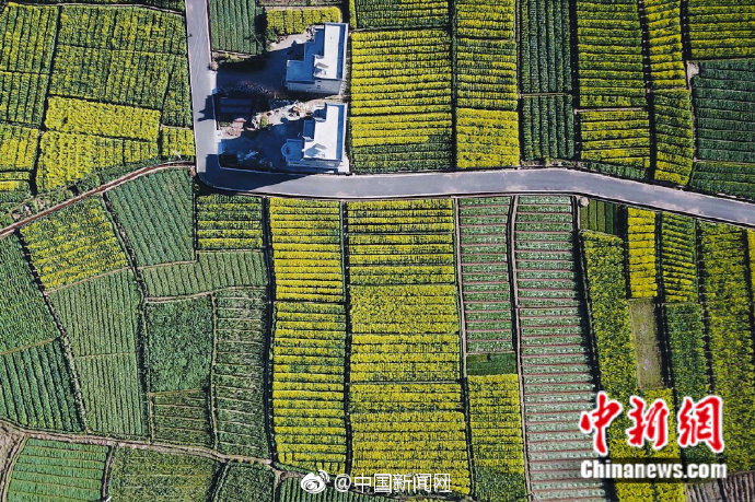 酒店桑拿服务怎么样(漯河市),漯河可以叫按摩的酒店