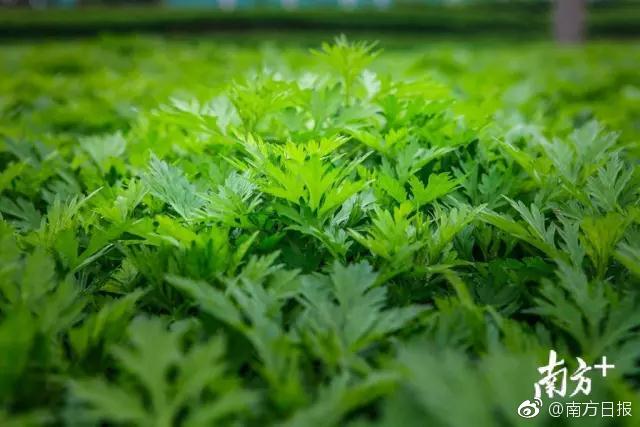 西昌一对一服务同城(遂溪县),遂宁西昌