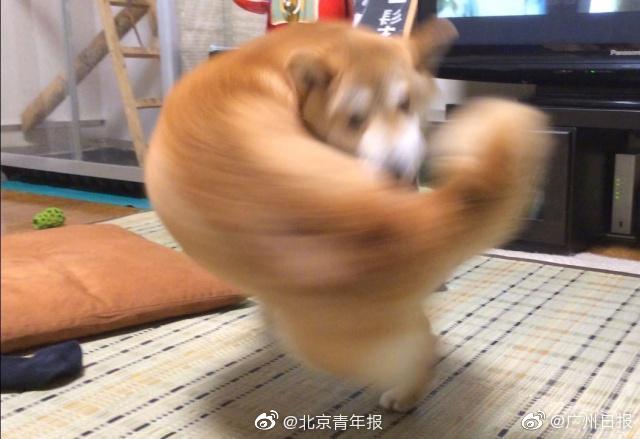曲靖哪里有小妹(保亭黎族苗族自治县),曲靖哪里可以找小