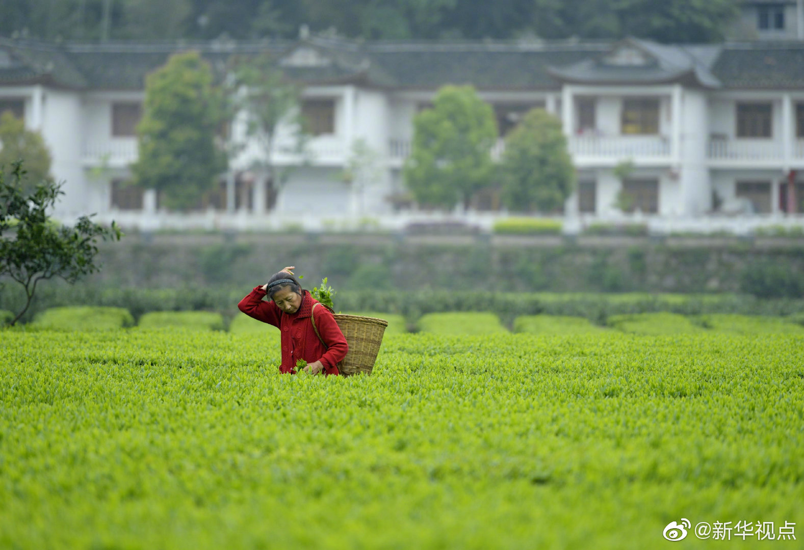 江苏南通晚上有什么地方好玩(公安县),晚上南通有什么好玩的地方