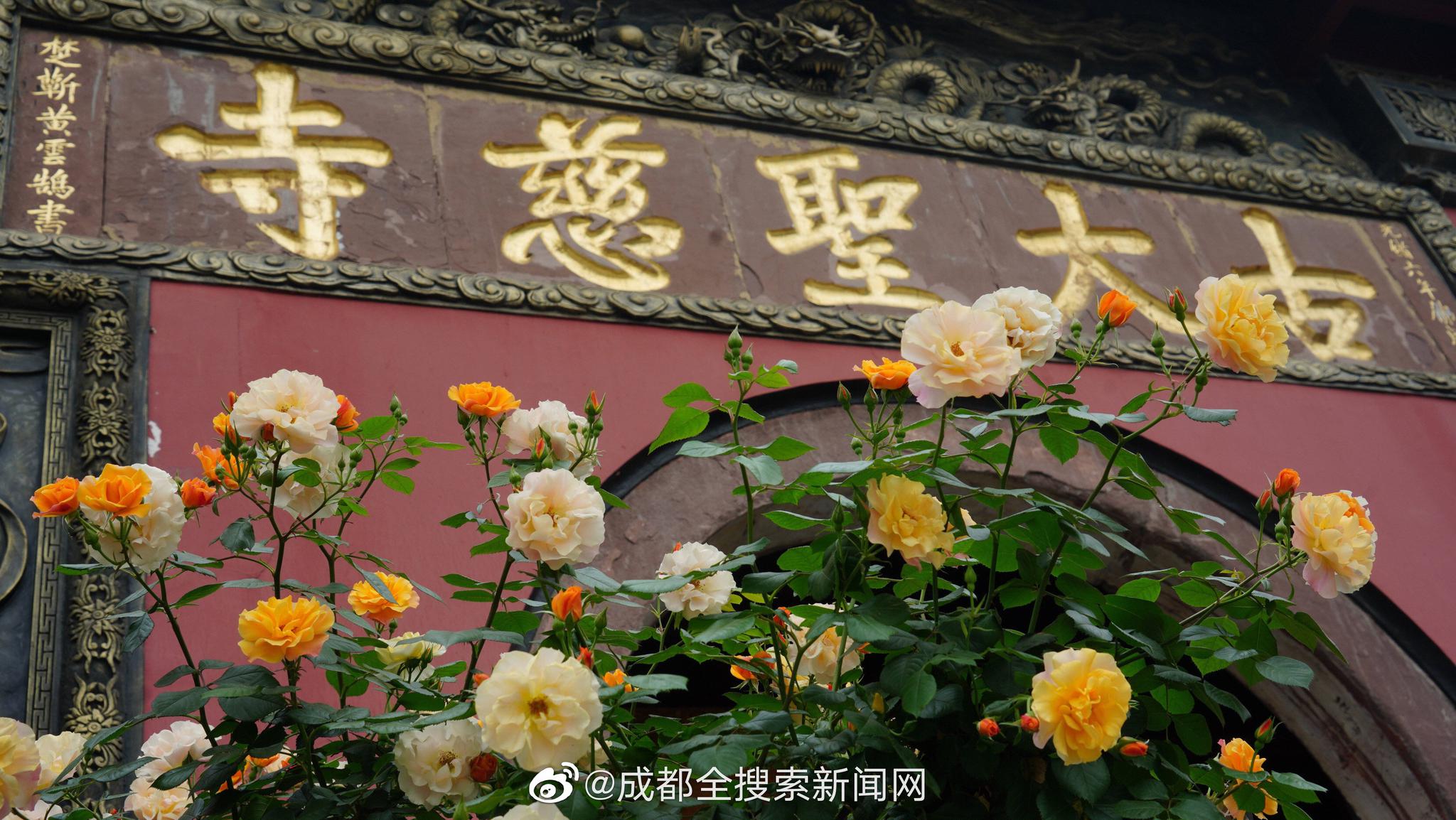 东郊到家约炮(彭阳县),东郊到家是不是坑