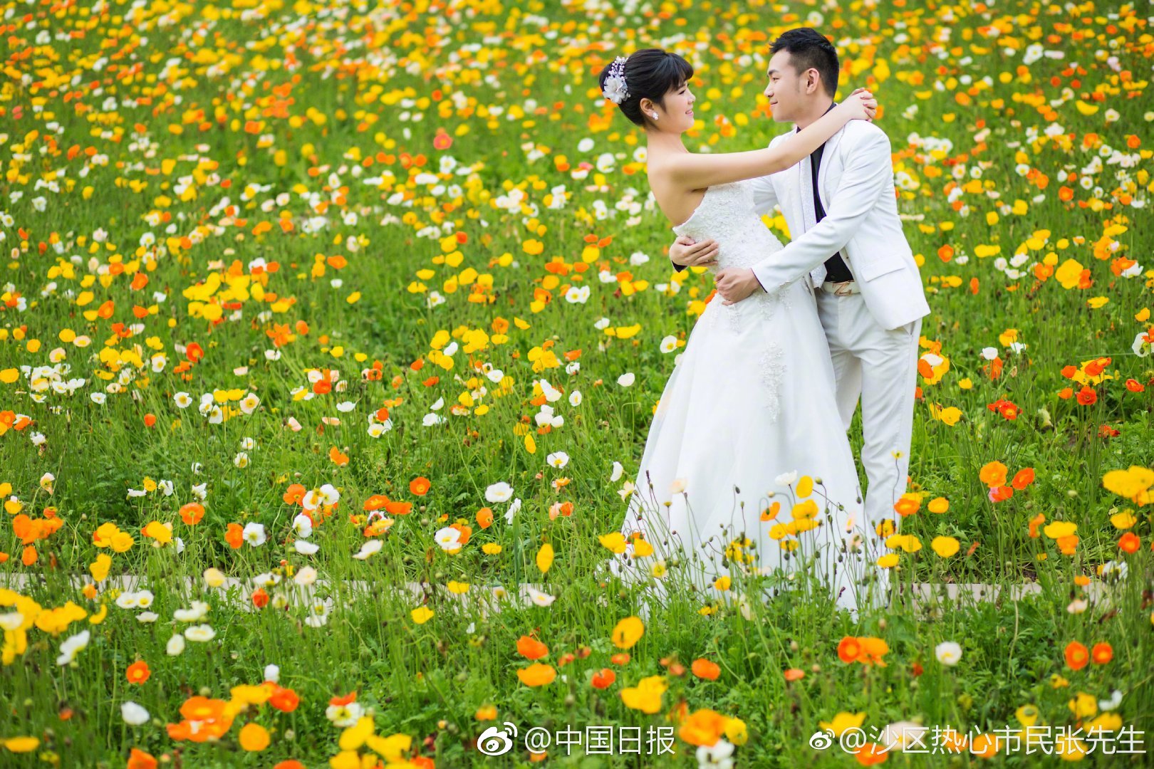 南阳附近的人约会暗号(临泉县),南阳约会去哪里好