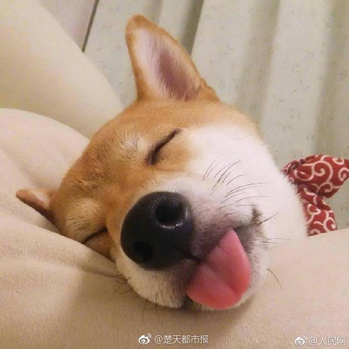 楼凤上的安全吗(宁波市),楼凤有病吗_