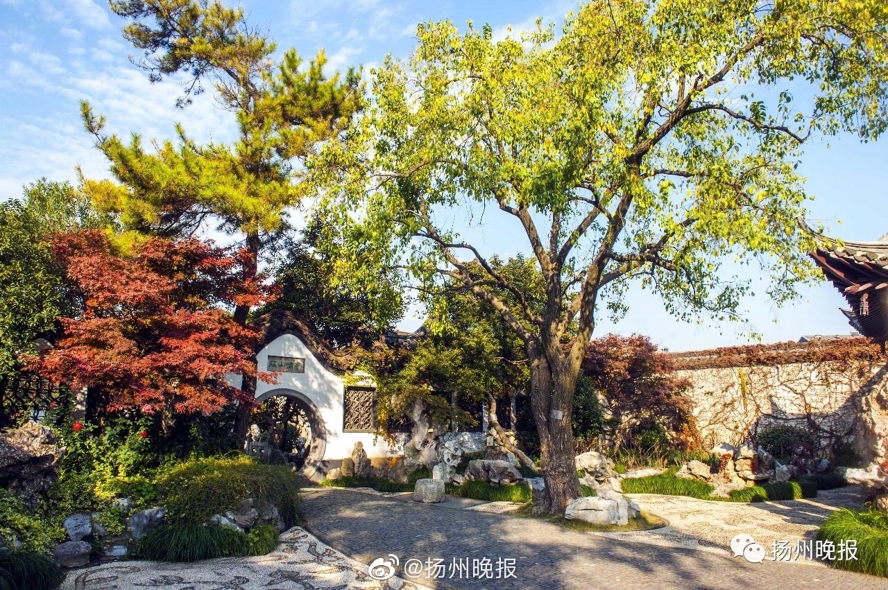烟台人喜欢喝什么茶(光泽县),烟台本地人喝什么酒