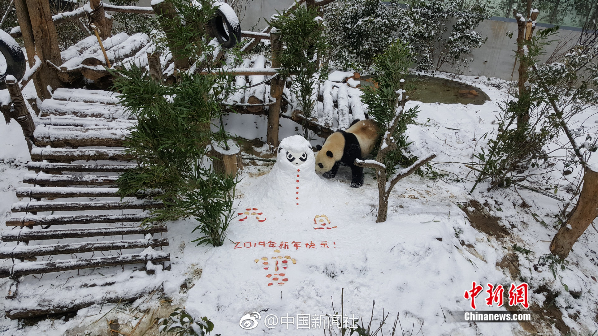 郑州喝茶微信号(洞头县),郑州喝茶聊天的地方