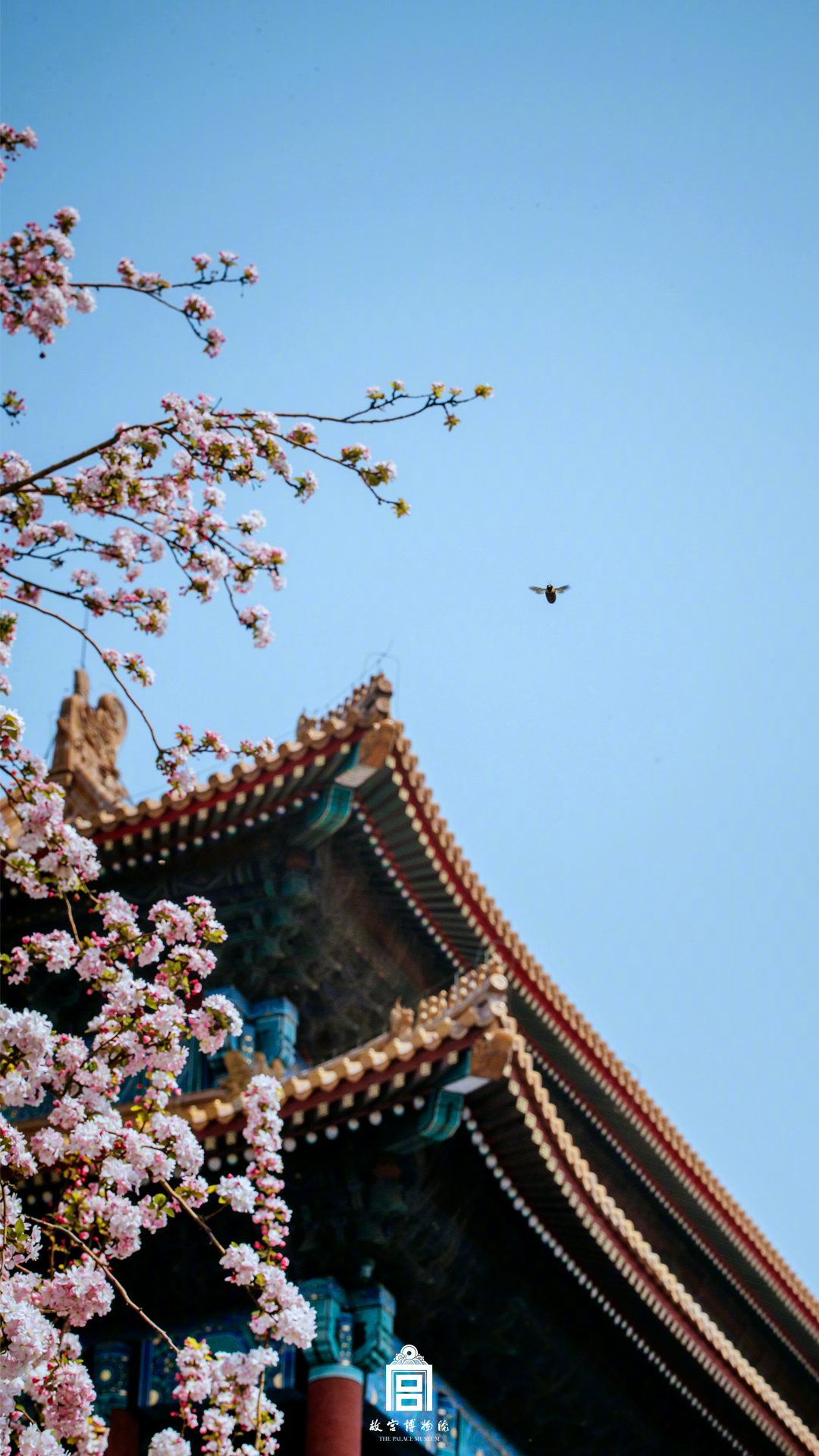 海曙区哪里小巷子还有玩的(沂水县),海曙区哪里有好玩的地方