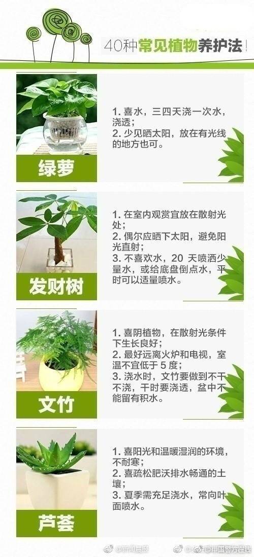 柳州品茶网站(莱州市),柳州品茶群没有了吗