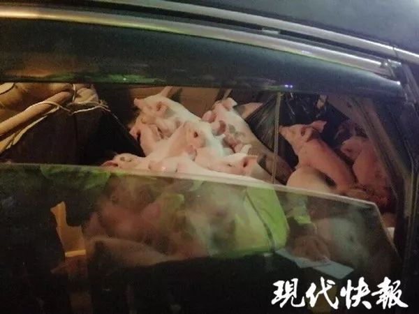 温州500快餐4小时真的假的(鄱阳县),温州快餐价格