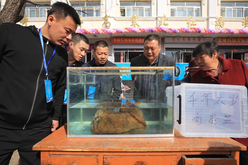 乌鲁木齐新茶品尝馆地址(洞口县),乌鲁木齐茶主张在哪_