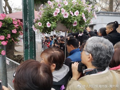 汉口北休闲店哪里多(黑山县),汉口北是卖什么的