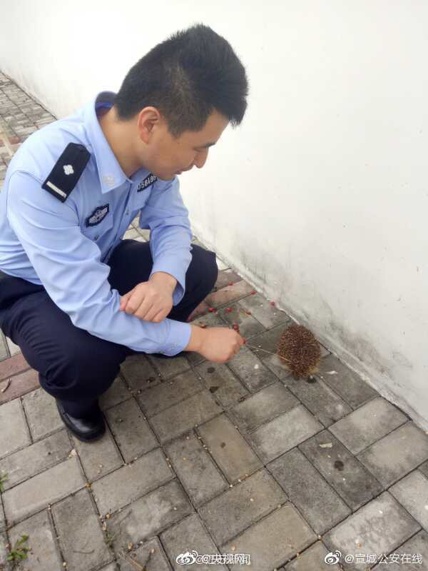 300元快餐两小时不限次数杭州(海兴县),杭州快餐多少钱一次