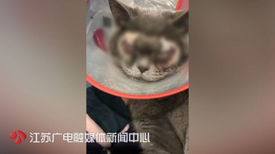 约炮认证(绥宁县),约炮联系电话号码