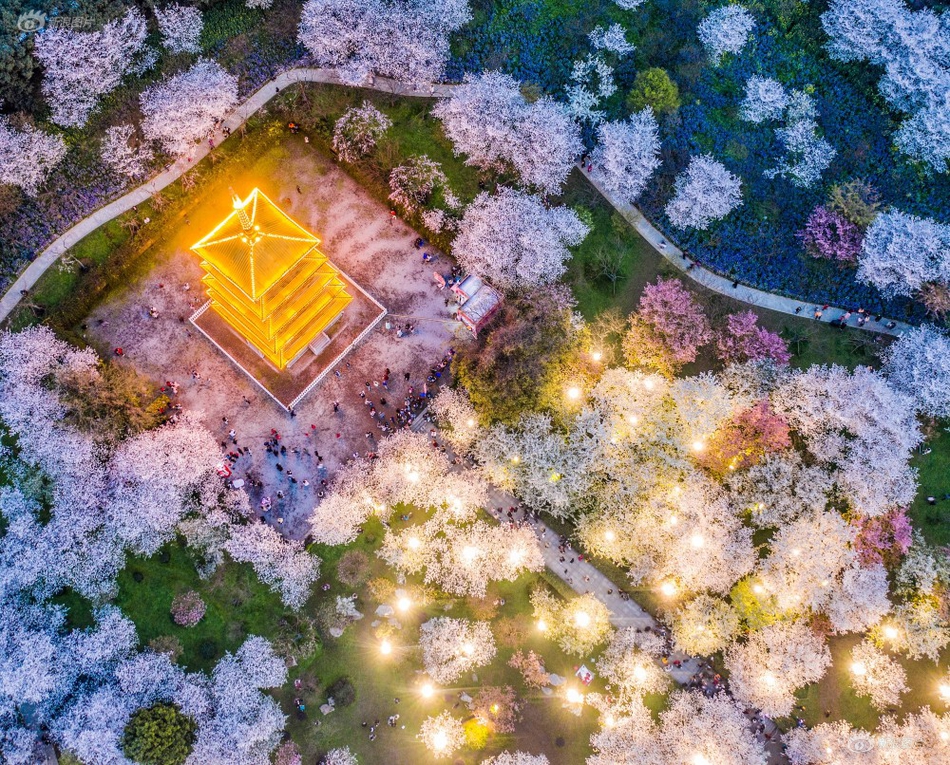 重庆南坪性价比高的妹儿(诏安县),南坪那里有妹儿