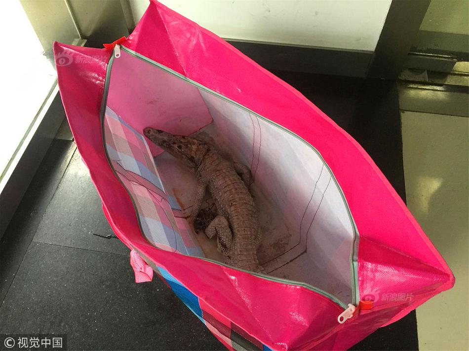 大连哪里能品茶(拜泉县),大连开发区品茶的地方