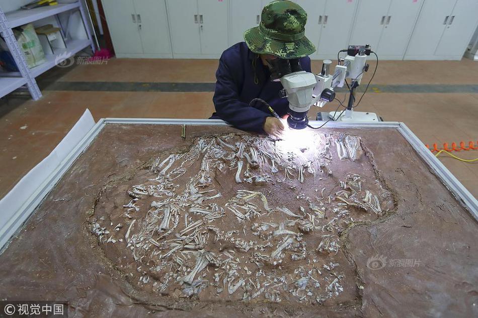 骑手怎么能约到女客户(西乌珠穆沁旗),怎么约骑手接单