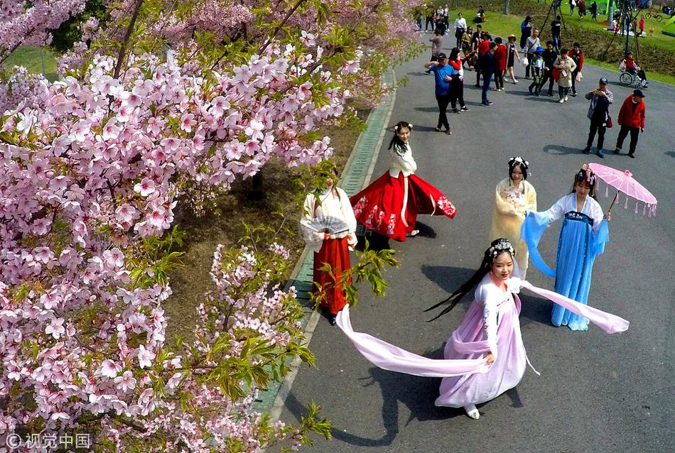 邵阳市新茶(长寿区),新邵茶叶