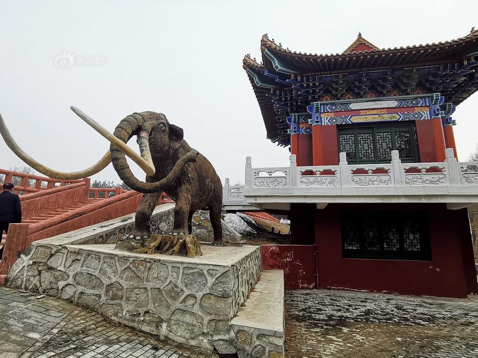 珠海西埔小巷在哪里(庆城县),珠海西埔村