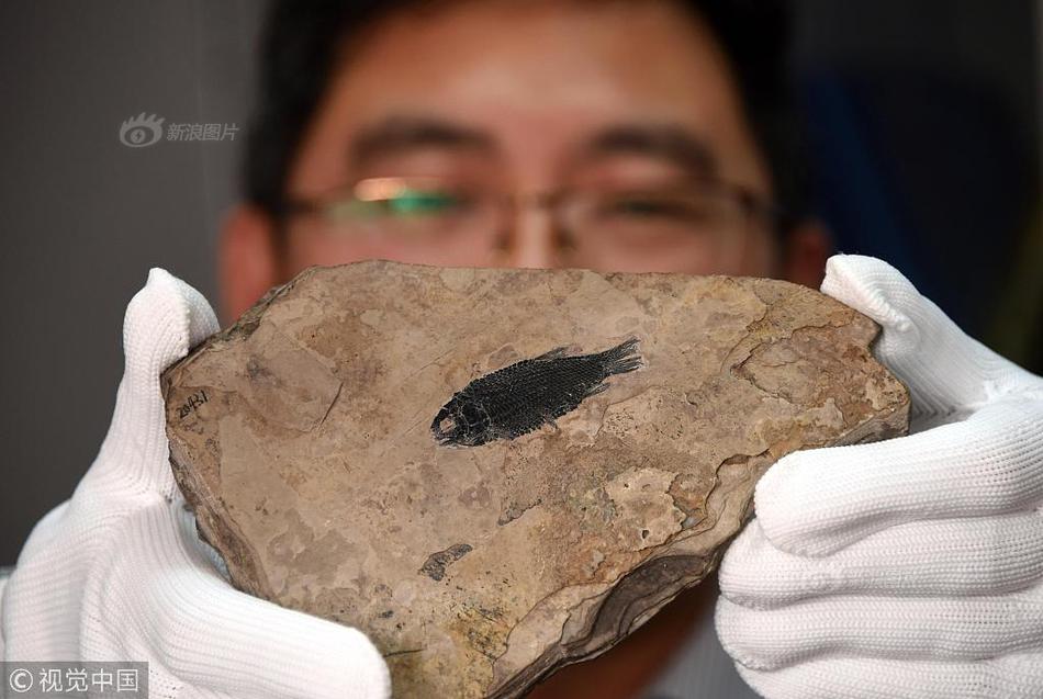 绵阳哪里有炮楼(隆林各族自治县),绵阳能放炮吗