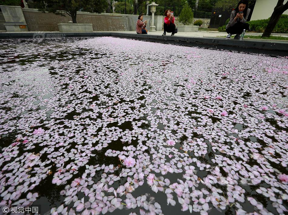 重庆喝茶品茶外卖工作室(衡阳市),重庆喝茶网