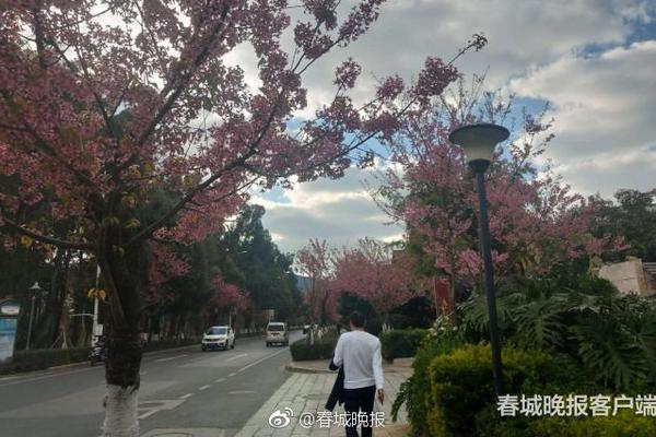 常德文理学院附近小巷子(卢龙县),常德文理学院周边