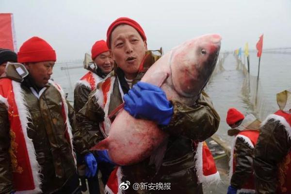 临沂品茶九游会ag老哥俱乐部入口的联系方式(仙居县),临沂品茶论坛