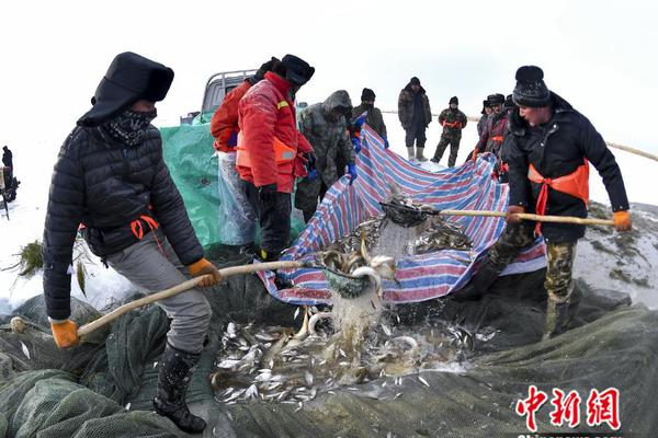 柔式中项包括口吗(巢湖市),柔式中项是什么