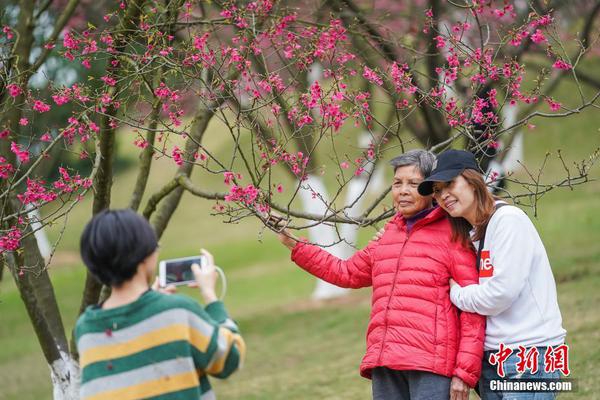 外围全套服务都有哪些(禹城市),外围全套包括什么