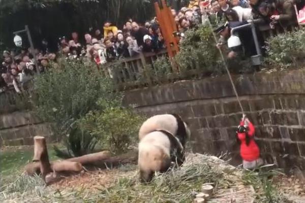 重庆茶园快餐150在哪些位置(武胜县),重庆茶园农家乐联系电话