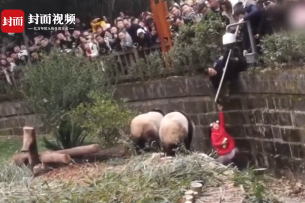 德州大活多少钱(温州市),德州 打价值