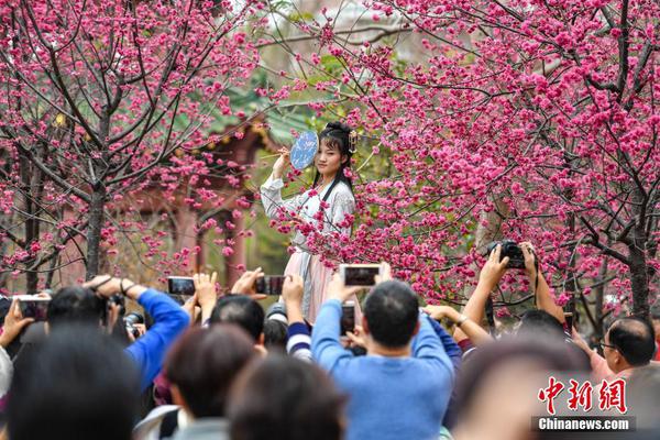 全套服务有那些(马关县)