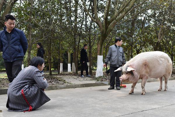 那些地方能嫖娼(襄樊市),哪里能够嫖娼