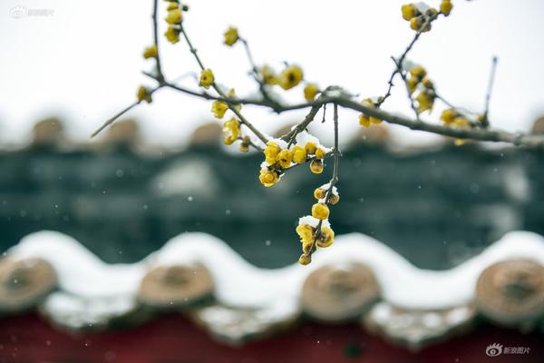 北京高端经纪人微信(蚌埠市),北京经纪人招聘信息