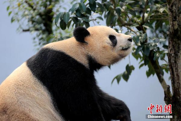 济南长清找女的(醴陵市),长清妹子怎么找