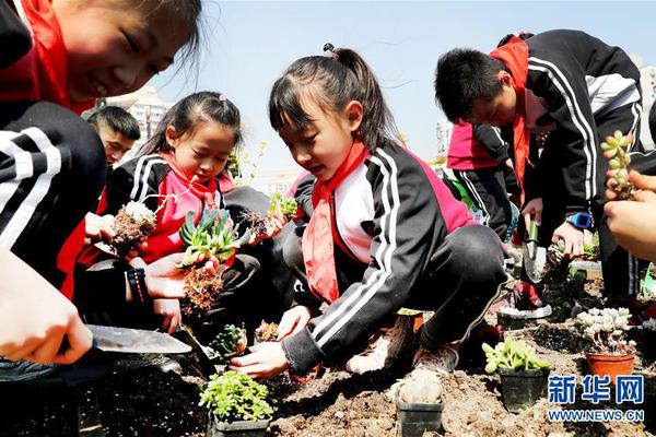 浦东柔式spa带起飞(通化市集安市)