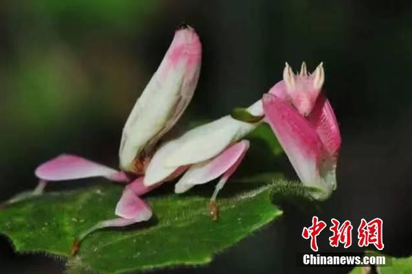 唐山晚上可以玩的地方(新绛县),唐山晚上有什么好玩的地方啊