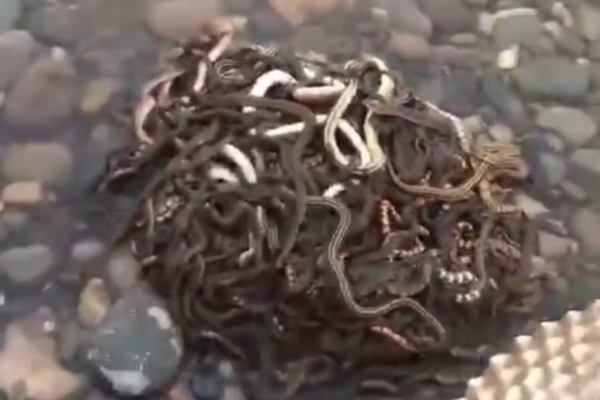 绵阳砂舞厅最火是哪家(诸城市),绵阳还有哪些莎莎舞厅