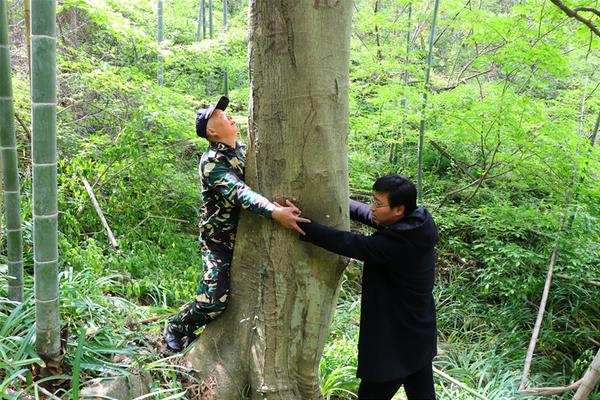 贵阳上课品茶交流群(武胜县),贵阳喝茶qq群