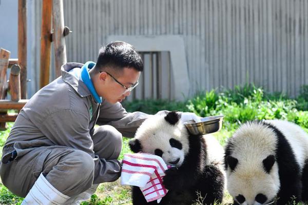 深圳龙岗男人去的小巷(嵩明县),深圳龙岗区有嫖的吗