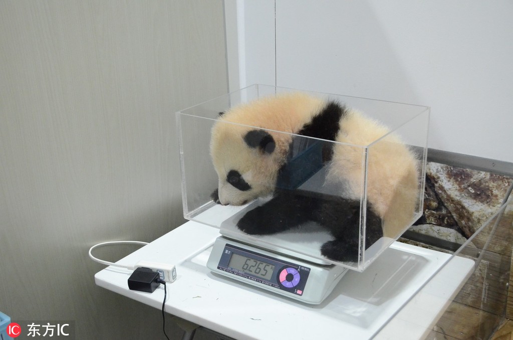 加附近的人上门服务(米易县),米易县有没有提供上门的