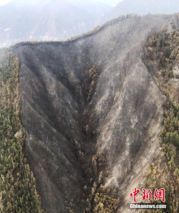 本地怎么网上找特殊服务(扶余县),网上找附近服务