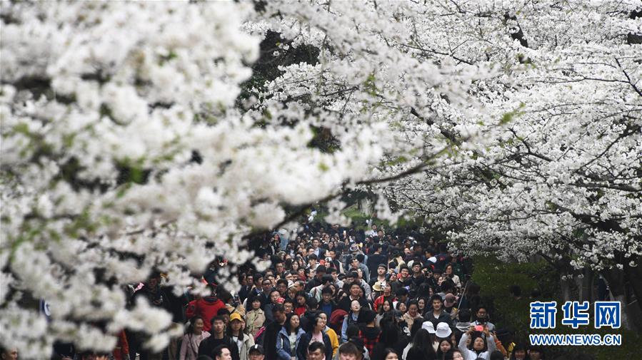 从哪能找到泡友(开化县),怎样寻找泡友