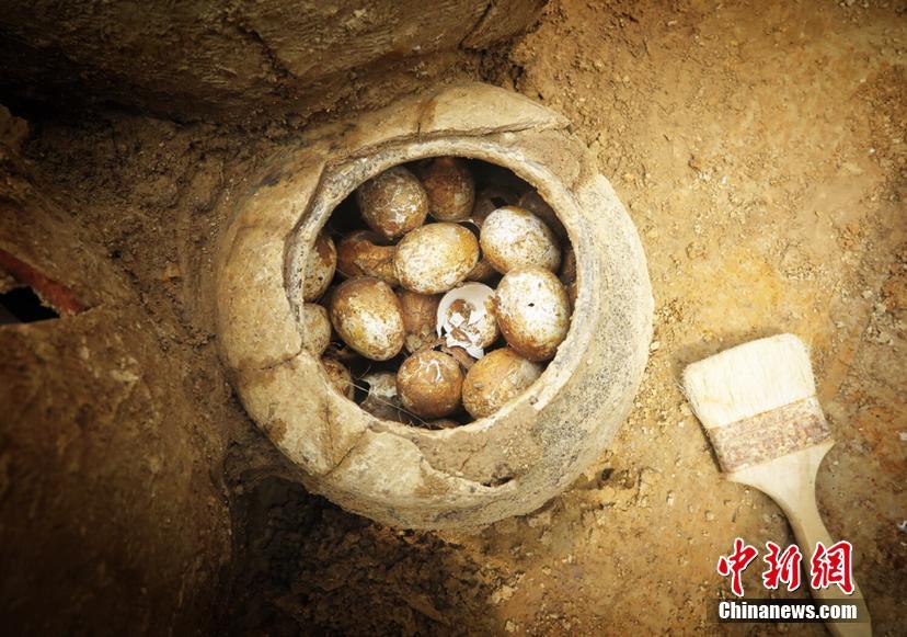 沈阳奥体万达公寓妹子安全吗(贞丰县),沈阳奥体中心万达公寓