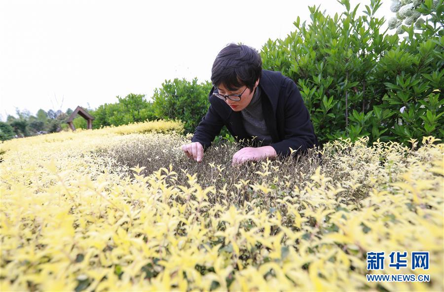 漳州晚上有耍的吗(玛沁县),漳州市区晚上有什么好玩的地方