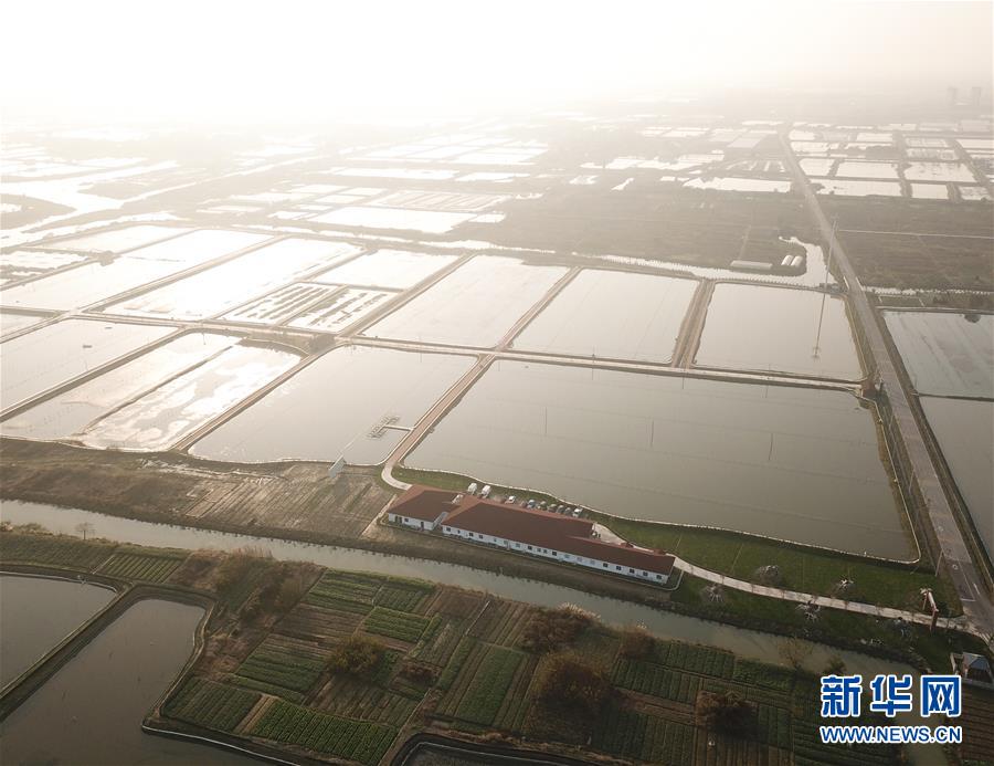 郑州喝茶上课(比如县),郑州喝茶的好地方推荐