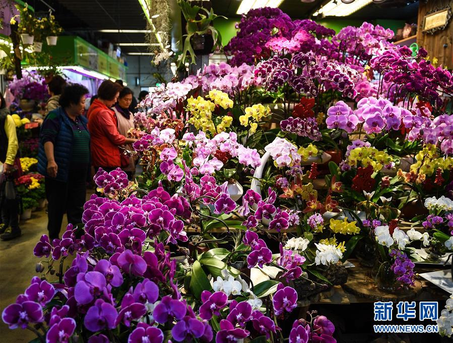 宜春品茶嫩茶wx(大邑县),江西宜春喝茶会所