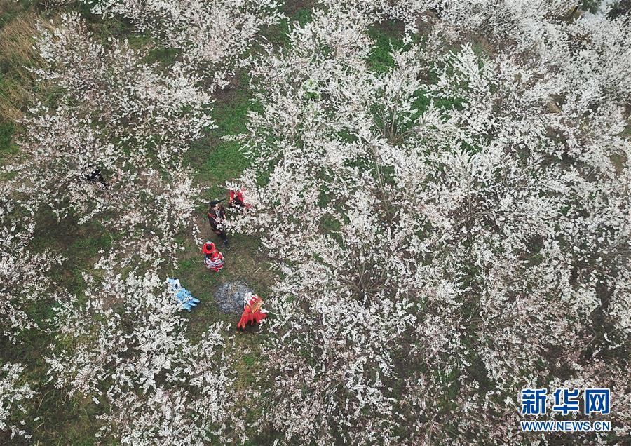 长沙晚上适合逛的地方(额济纳旗),长沙晚上适合玩的地方