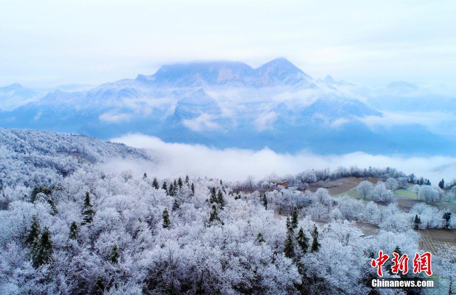 天津河北站街可以玩哪些地方(蒲县),天津河北区的小吃街