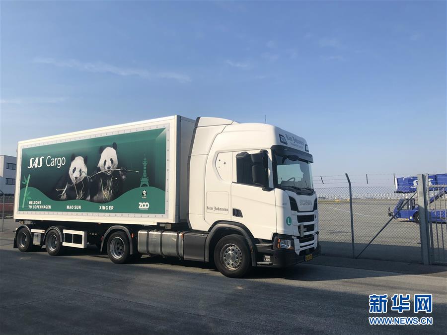 合肥滨湖品茶工作室(濮阳市),合肥滨湖茶楼