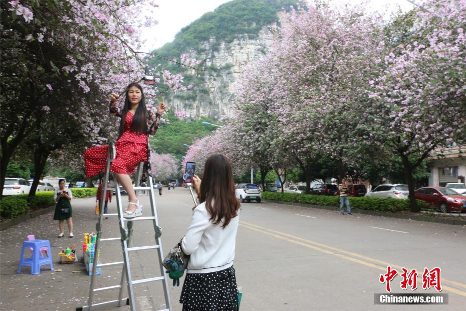 美女上门服务在线网站(云林县)