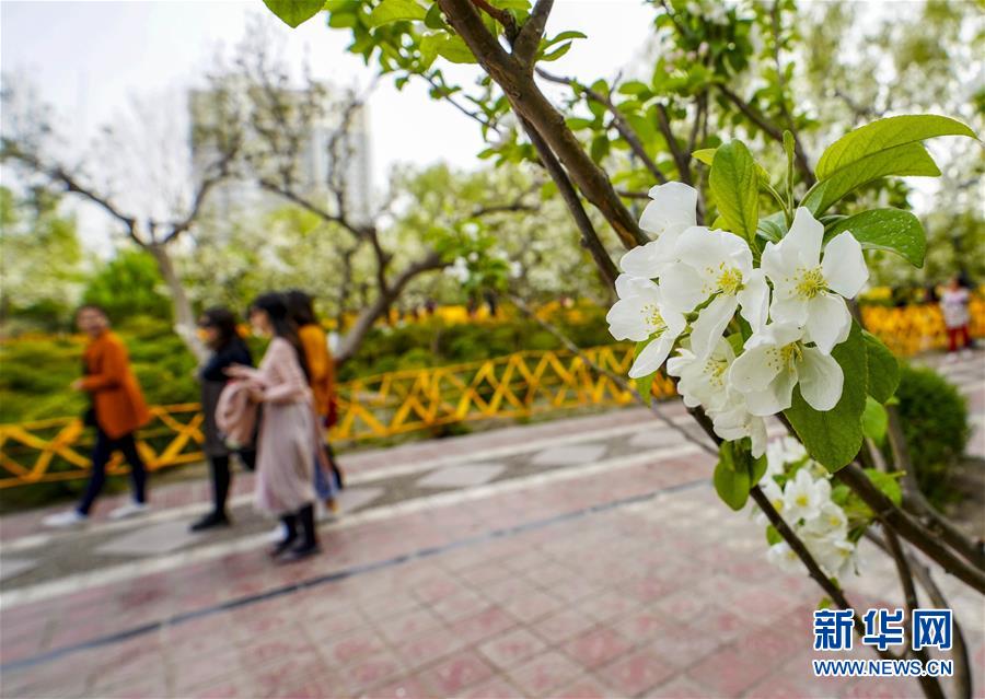 岳阳职业学院后街女神(确山县),岳阳职业学院后街有美女吗